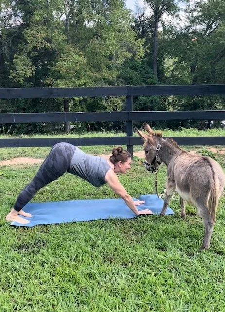 Woman practicing yoga outdoors on a Mill Spring farm with a friendly donkey standing beside her, demonstrating the peaceful farm setting at Lake Lure Yoga