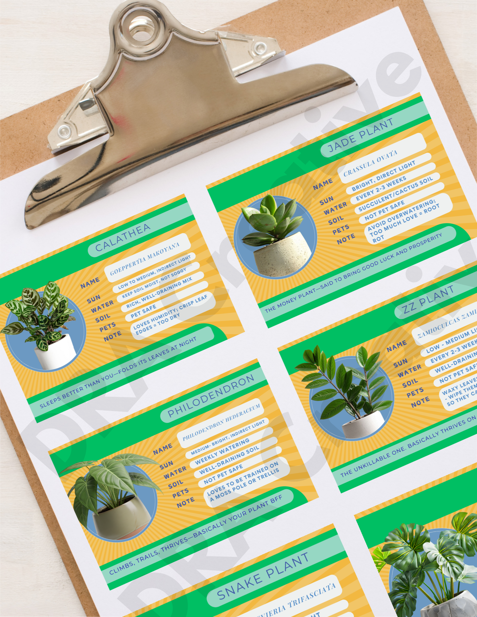 22ETSY mockups-2.png