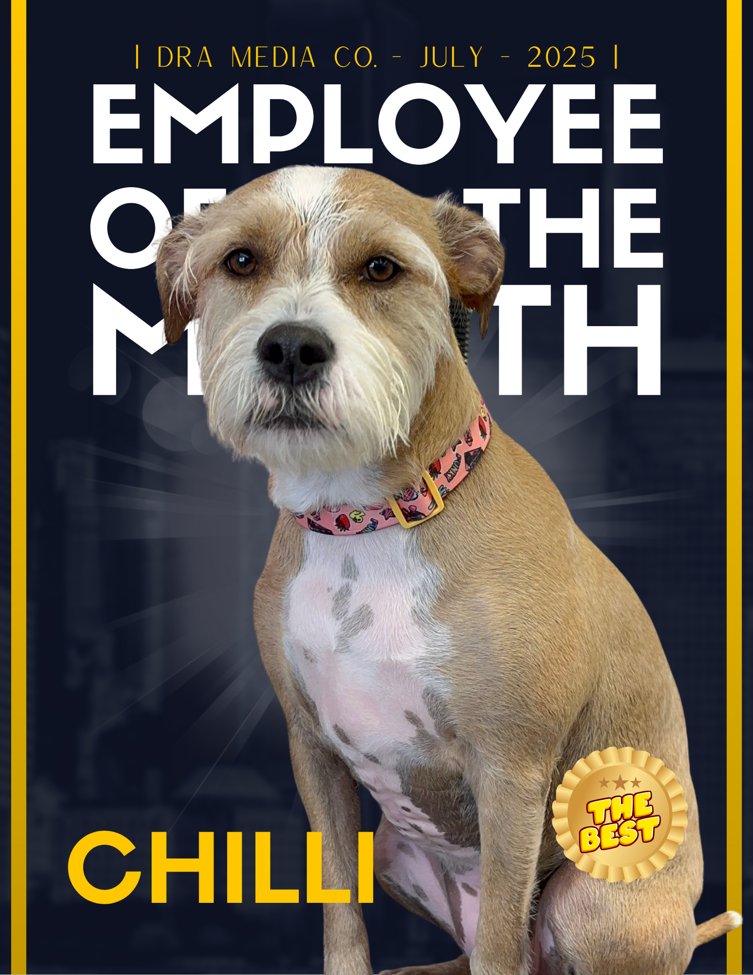 Dog with a pink collar sitting in front of a dark background with white and yellow text, including "Employee of the Month" and "Chilli," and a gold badge that says "The Best."