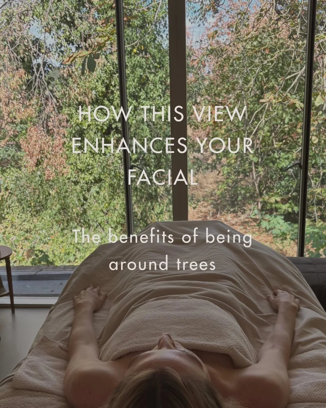 Trees are a big part of my life and a big part of Slow Skin.

They were one of the reasons I fell in love with this house in the first place. I noticed how much calmer I felt being around them and looking out at them every day. So when I started thin