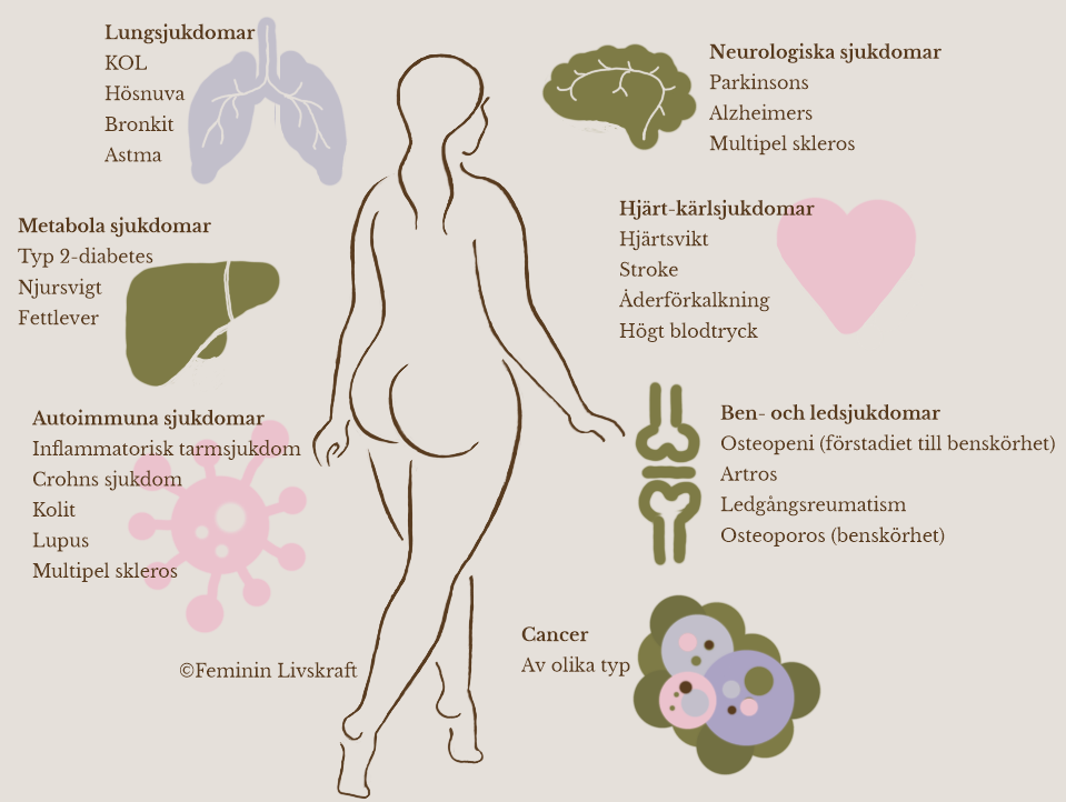 Illustration av en kvinna omgiven av olika typer av sjukdomar som kan uppstå till följd av ökad inflammation i kroppen.