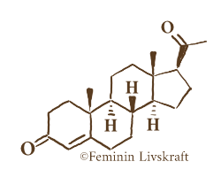 Molekylär struktur av progesteron © Feminine Livskraft