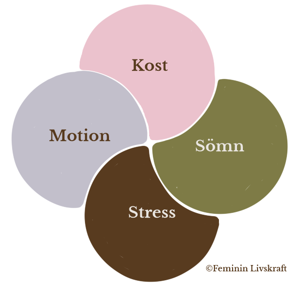 Bild på komponenter i ett gott fundament, det kan du bygga vidare på. Tänk, Kost, Motion, Sömn och Stress.