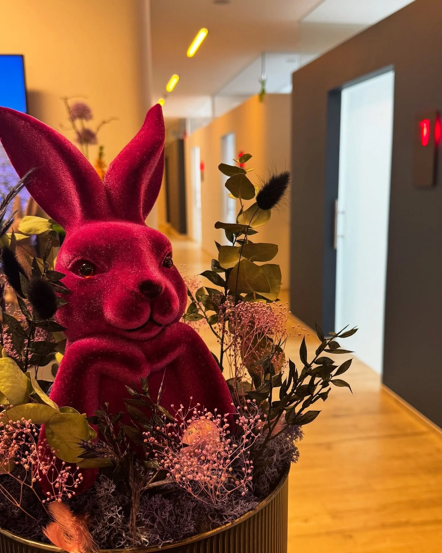 Liebe Hasen Gr&uuml;&szlig;e🐰
#zahnarzt #ostern #osterdeko #diefamilienzahnarztpraxis