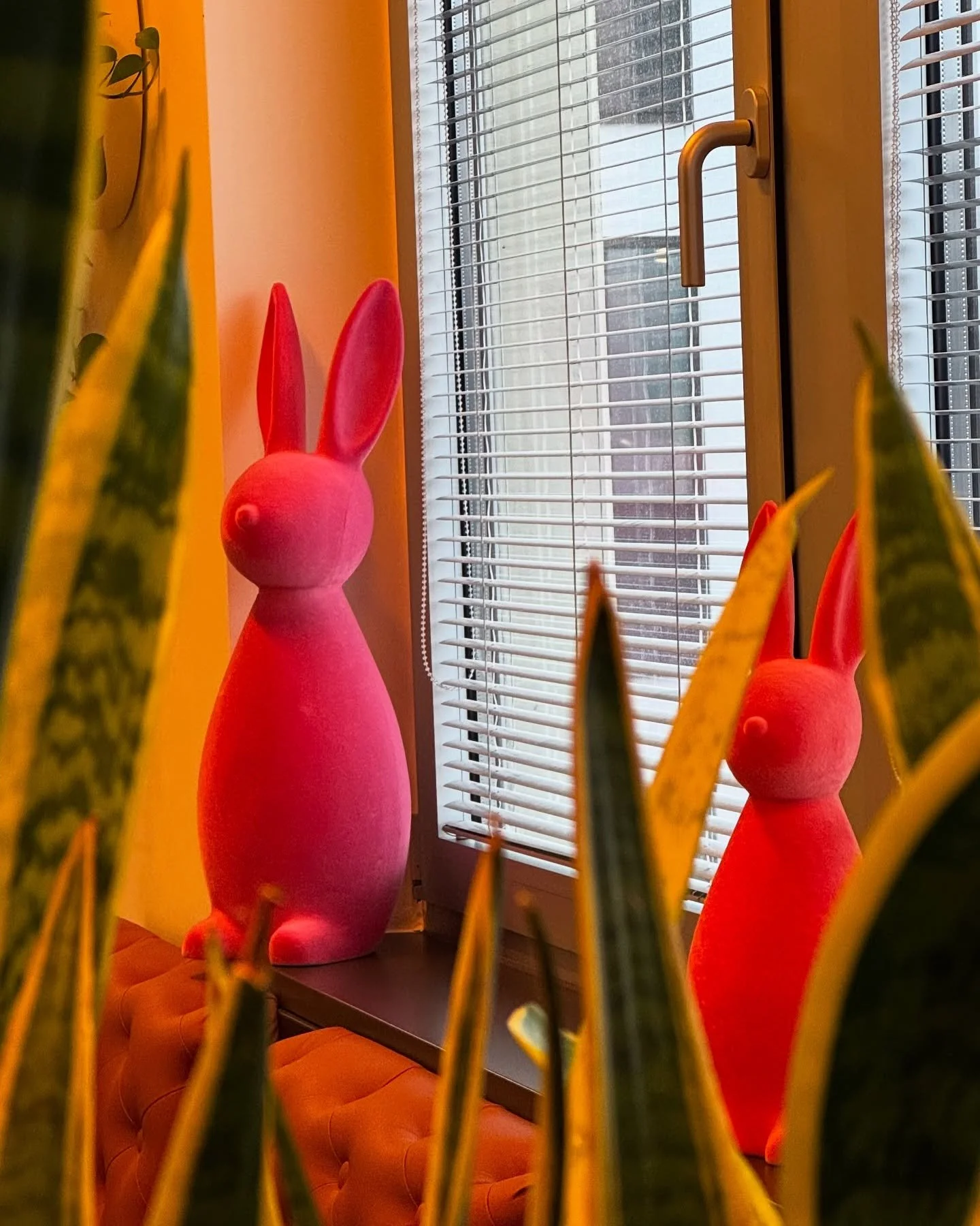 🐰 
#ostern #osterdeko #zahnarzt #osterhase #diefamilienzahnarztpraxis