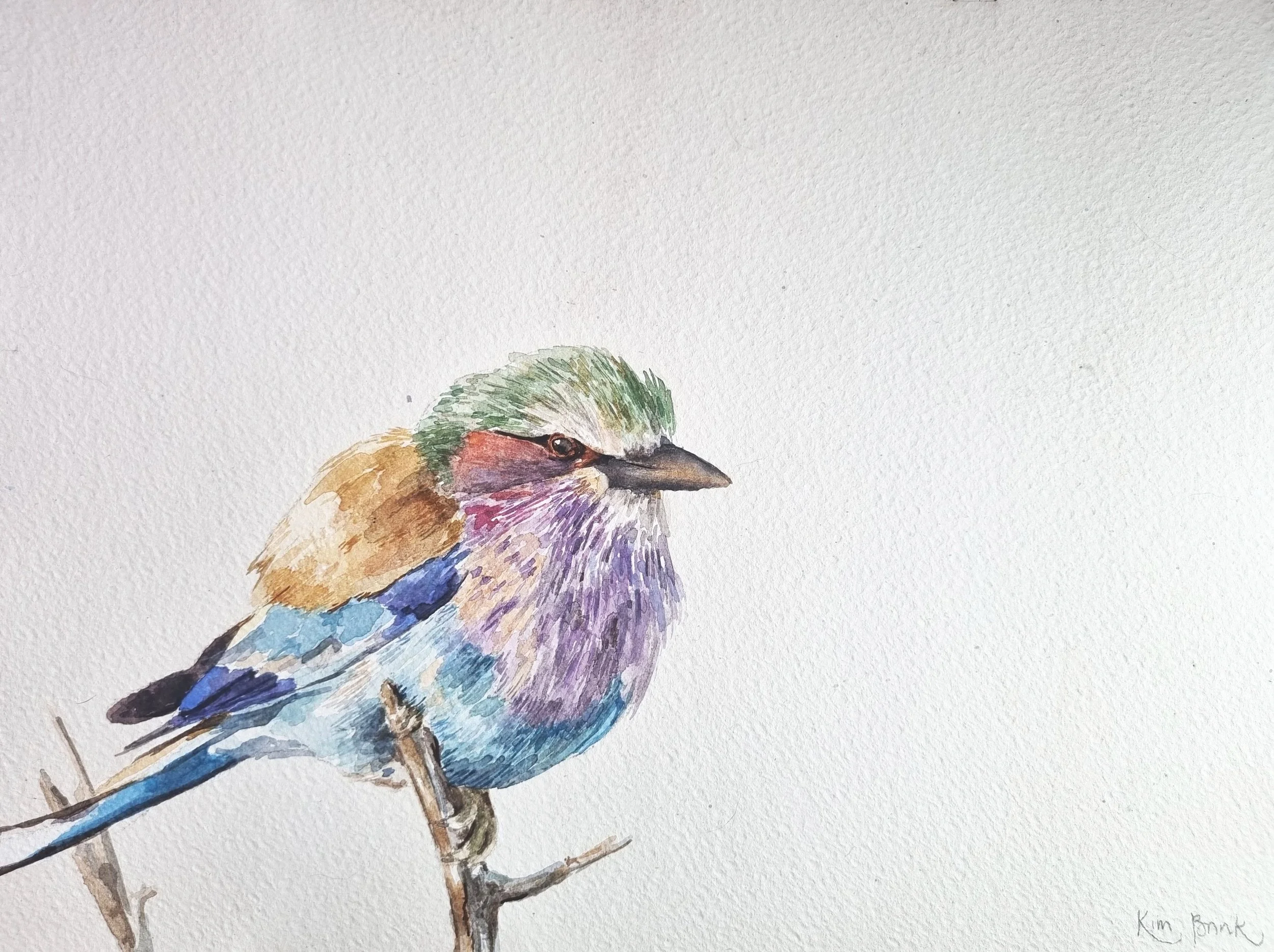 A watercolour artwork of a lilac-breasted roller, perched on a branch, with its beautiful colours in full view.