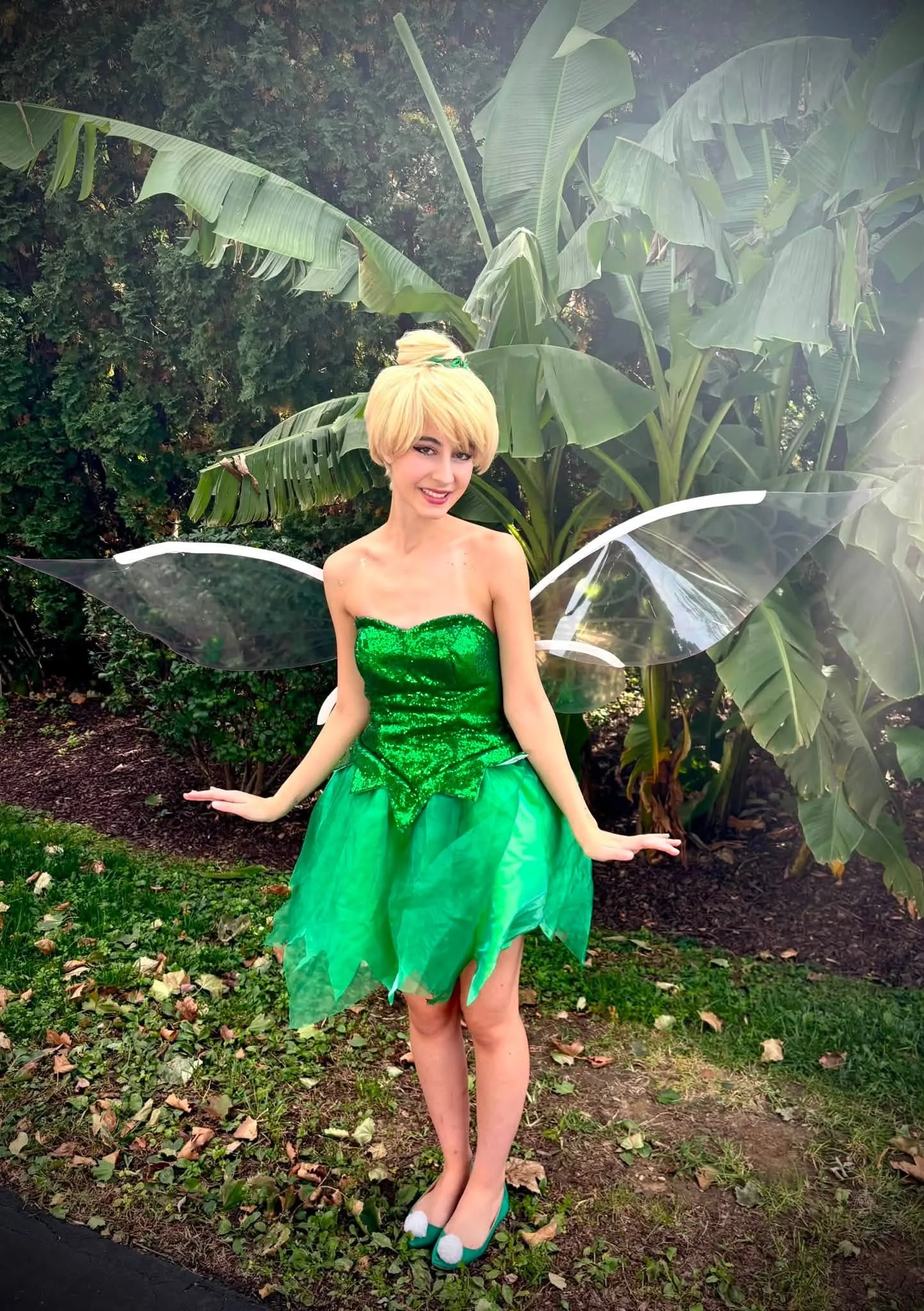 Tinkerbell and friends