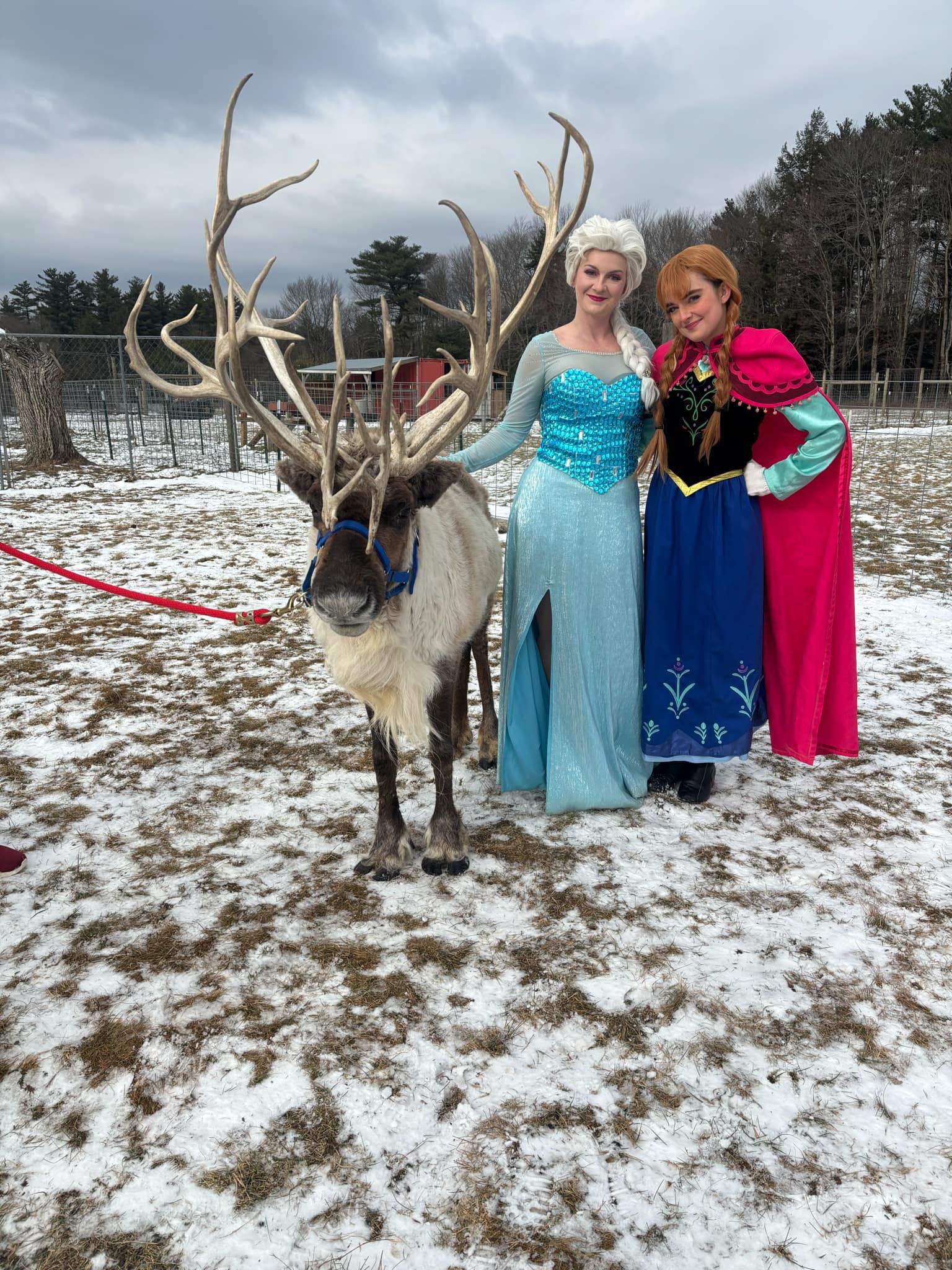 Two women dressed as Disney characters Elsa and Anna standing with a reindeer with large antlers on a snowy outdoor field.