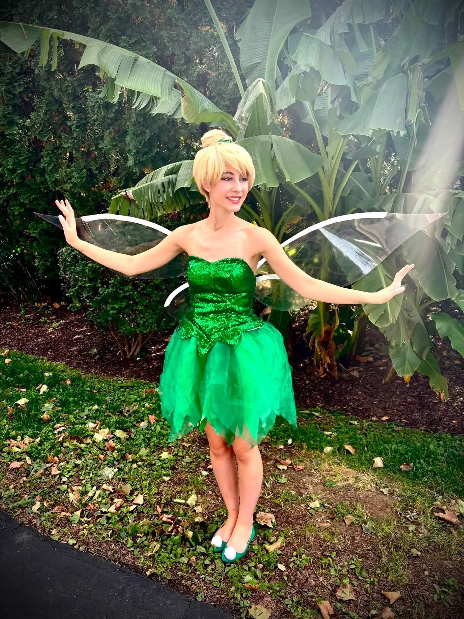 Tinkerbell and friends