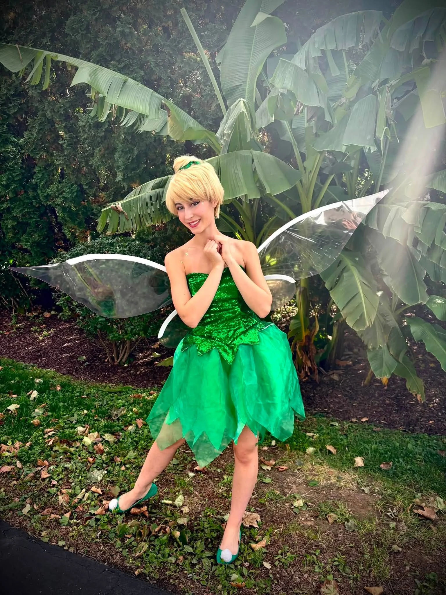Tinkerbell and friends