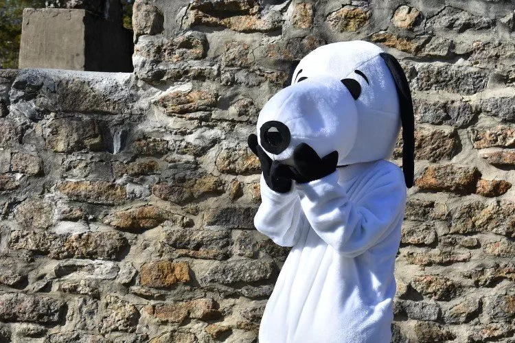 Person in a Snoopy costume standing next to a stone wall, holding the character's head in front of their face.