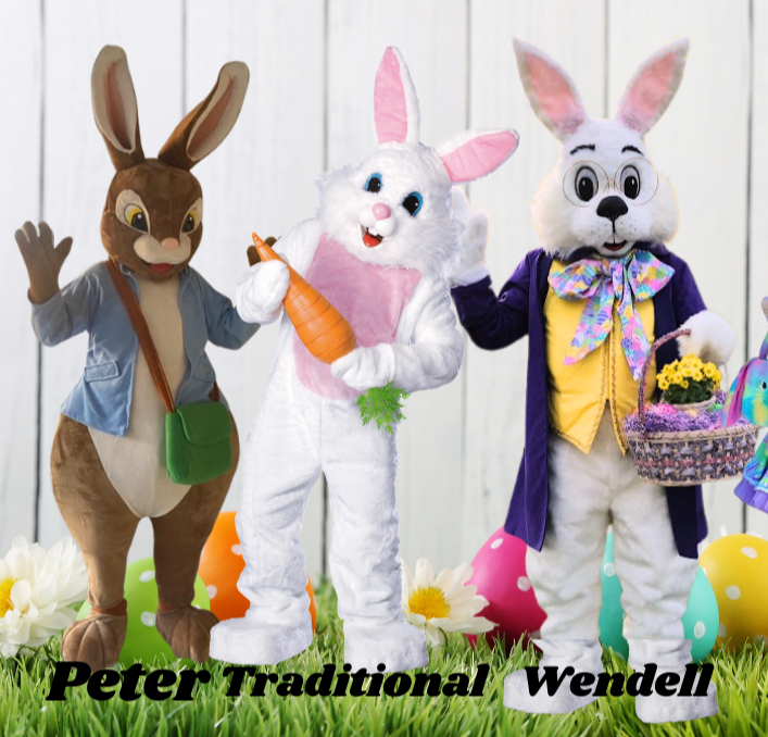 Easter Bunny outfits