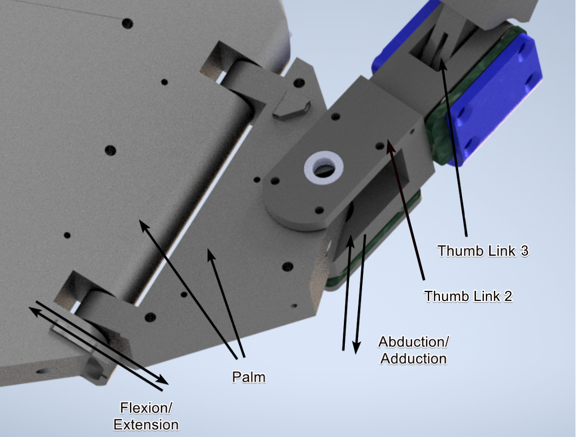 thumb_joint_annot.png