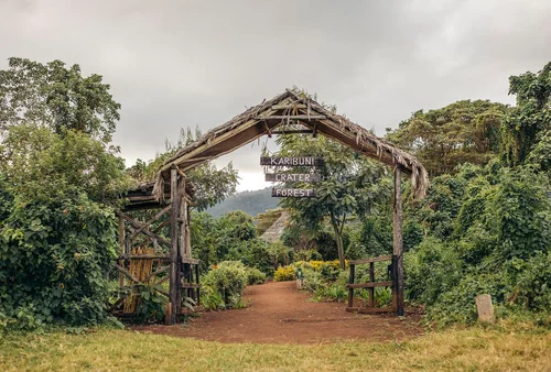 Crater Forest Tented Camp View