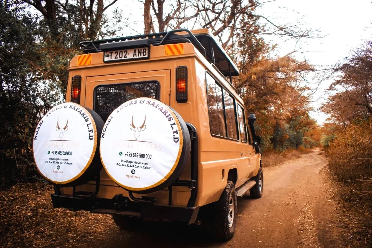 5-Day Tarangire, Serengeti Tour