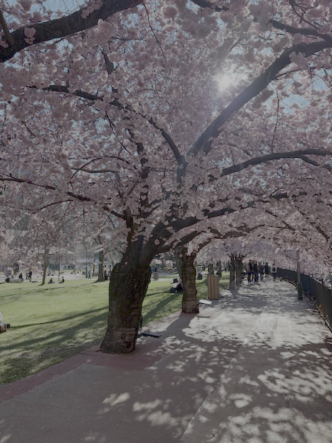 Why Entrepreneurs Are Choosing Andorra in 2026