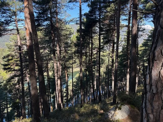 Is Andorra Still Worth It in 2026?