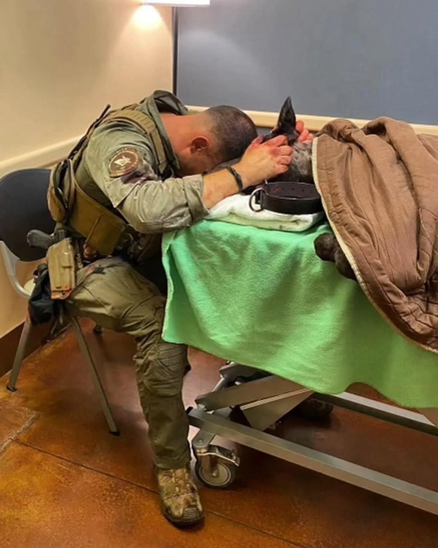 South Carolina Law Enforcement K9s &amp; Horses Need Your Help