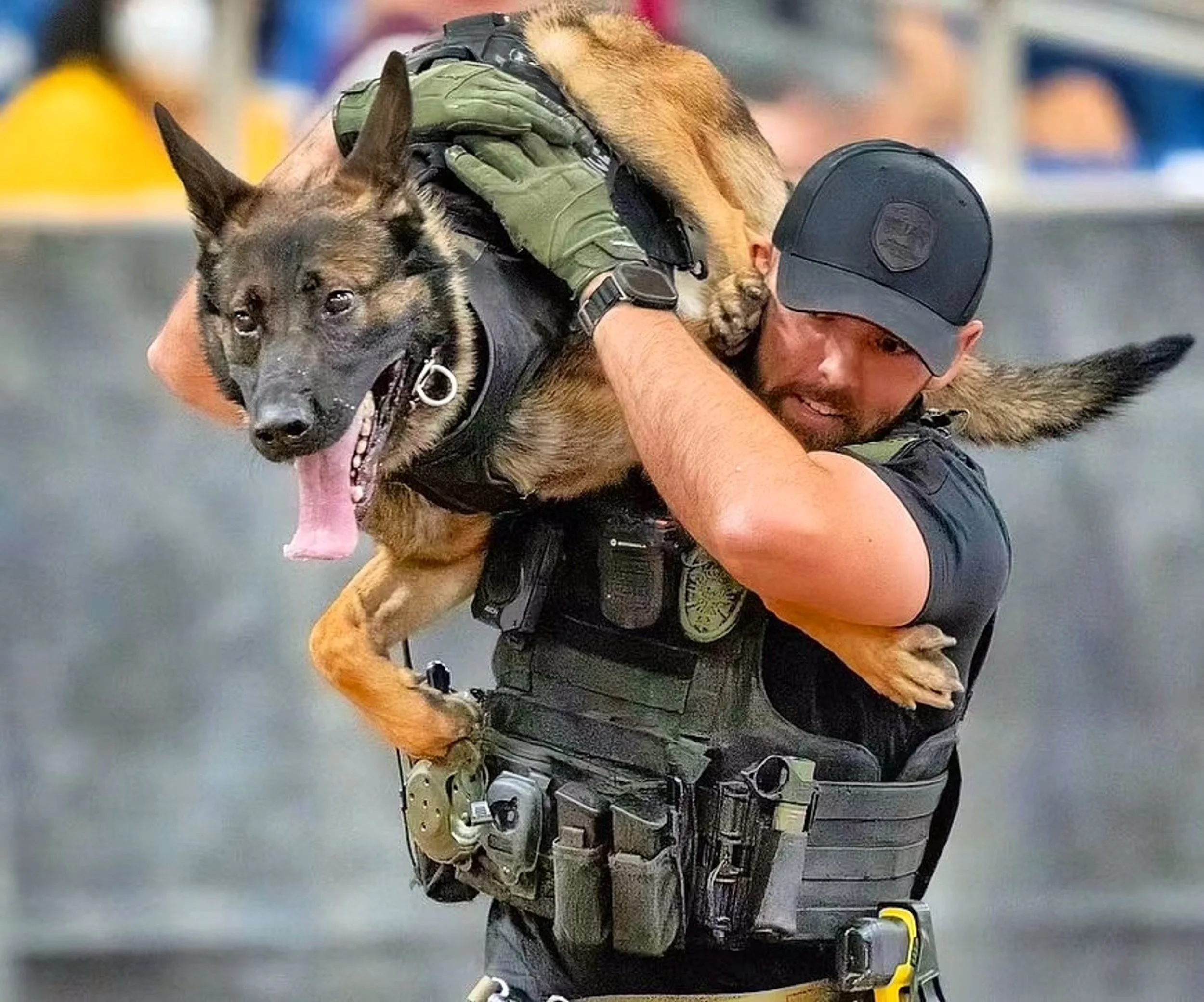 Global Working Dog Consortium-056.jpg