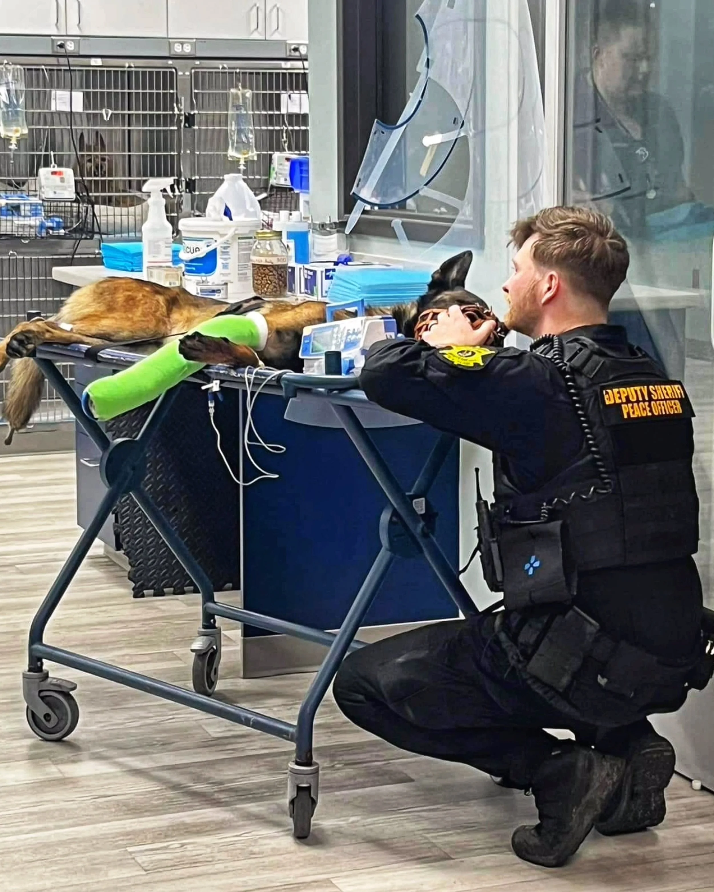 Global Working Dog Consortium-083.jpg
