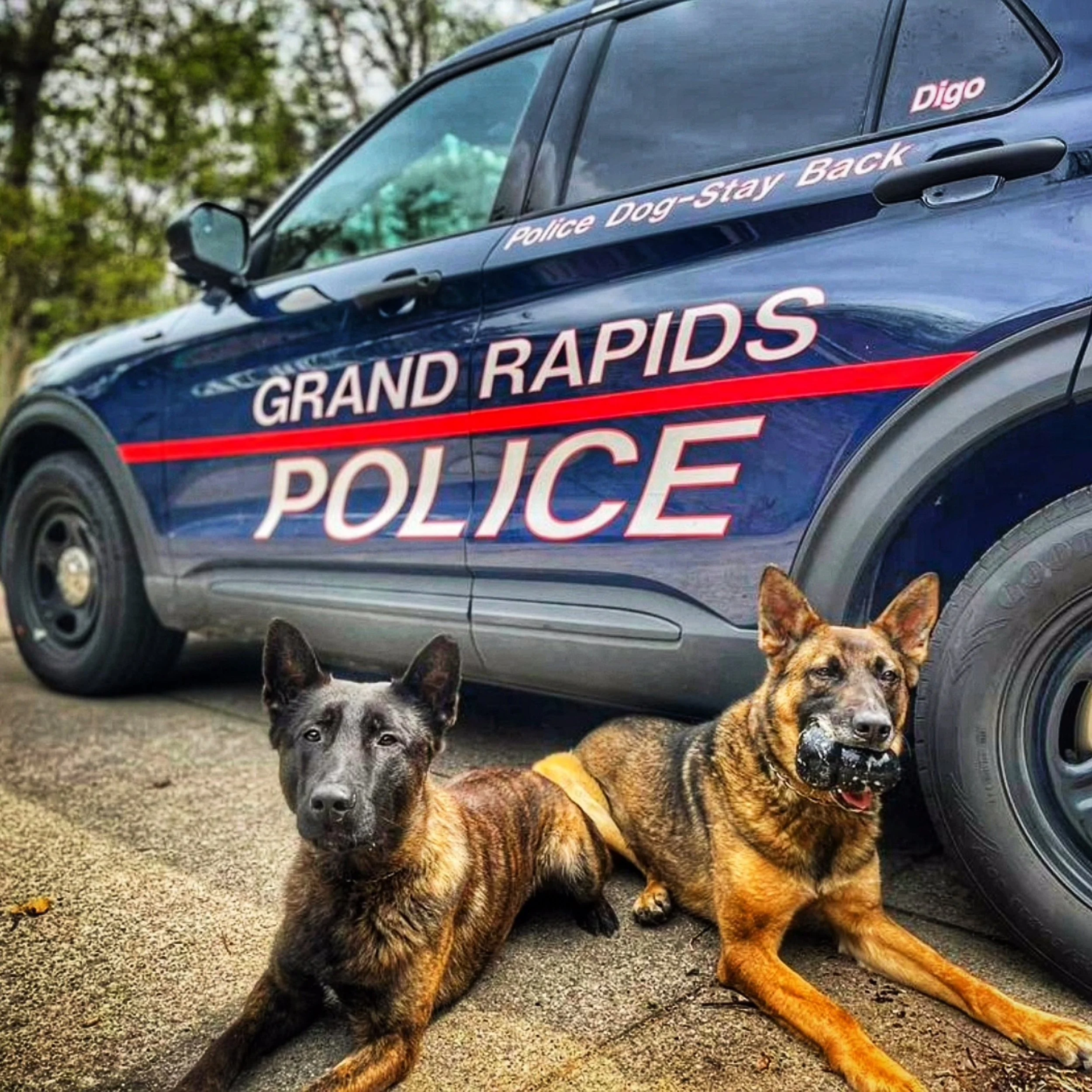 Global Working Dog Consortium-050.jpg