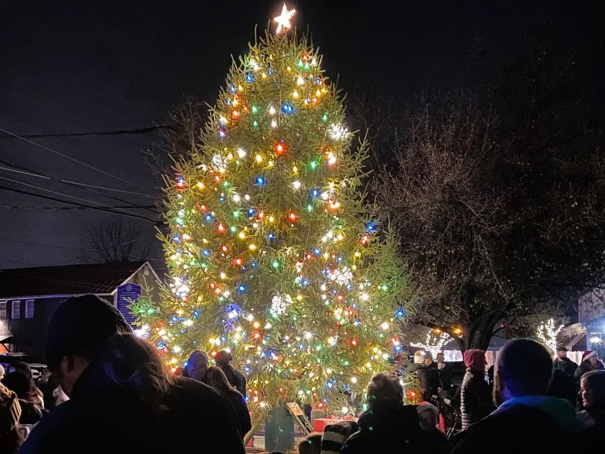Christmas Tree Lighting