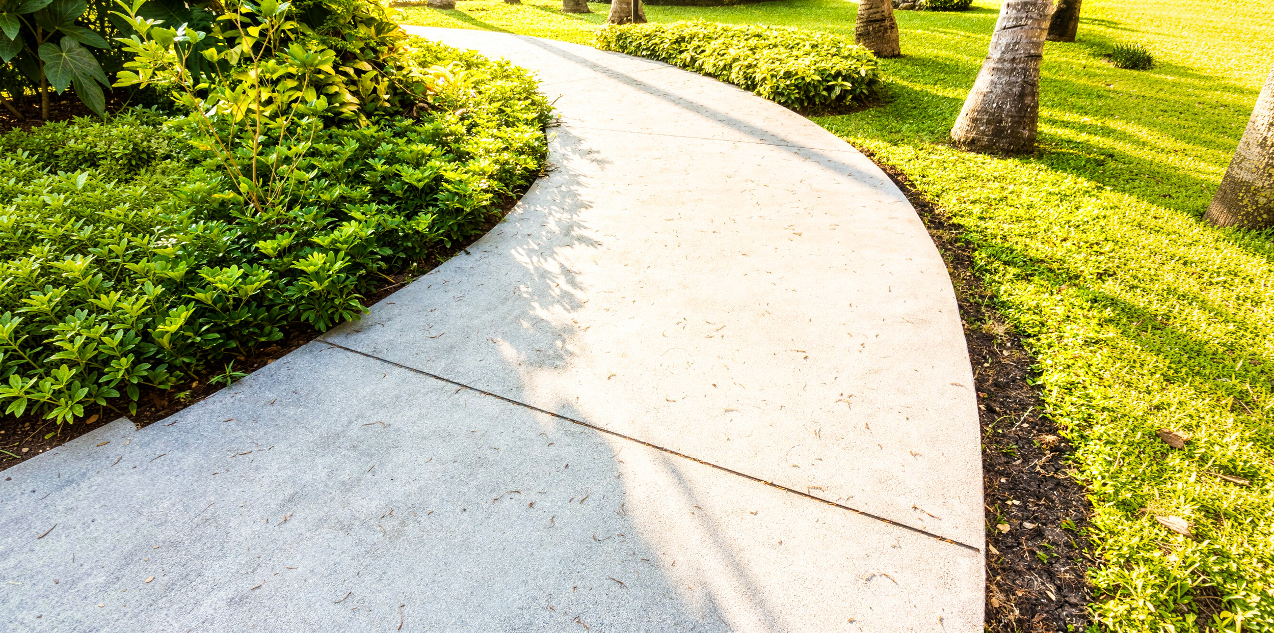 ONE SMART MOVE THIS MONTH:  Fix Your Tour Path