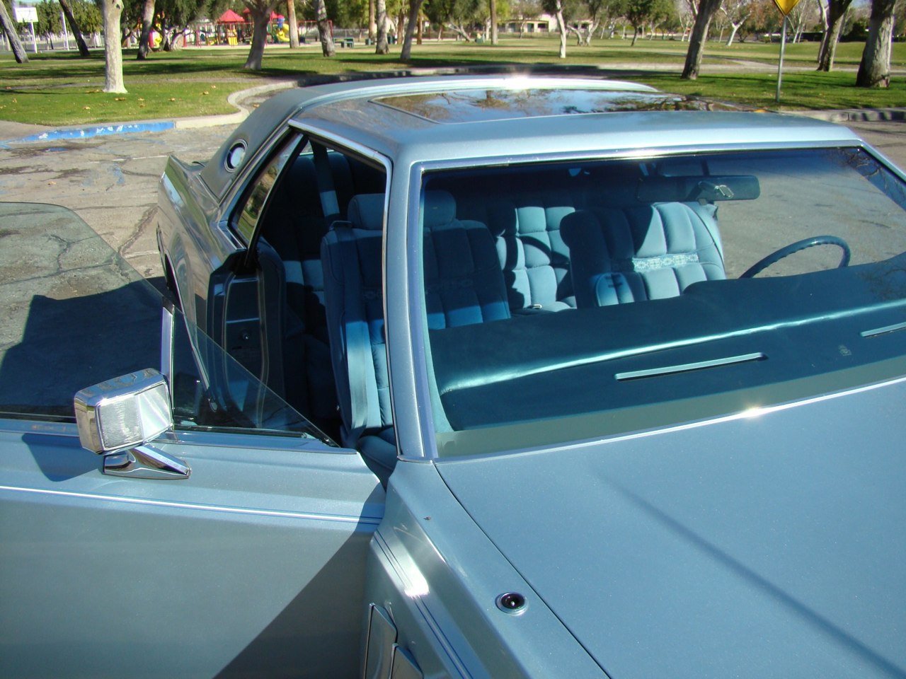 DSC08564.jpg