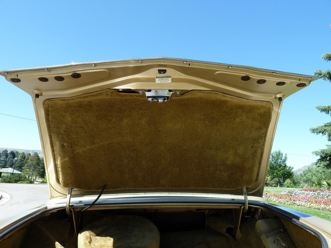 Open car trunk with beige interior and floral landscape in background under clear blue sky.