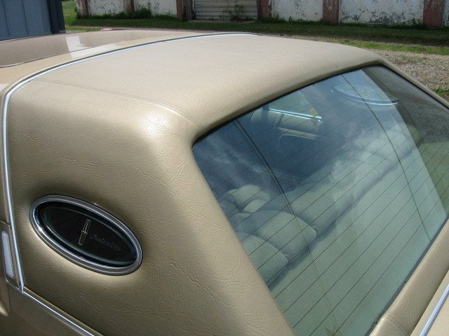 BDDC987E-EE5D-8C52-72BA9491F2786032_x.jpg