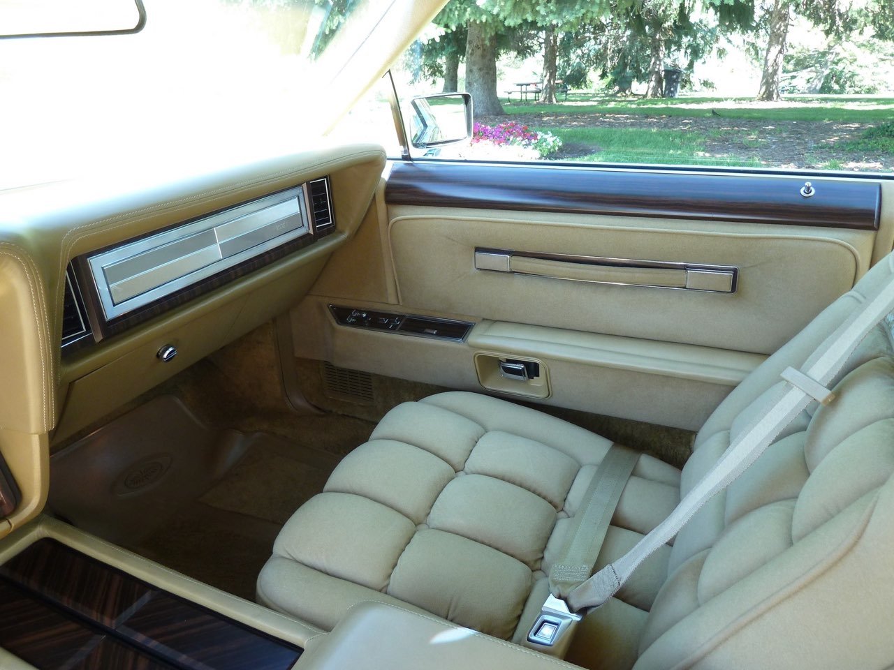 Interior of a vintage car showing the beige dashboard, door panels, and front seat with seatbelt, parked outside with trees and flowers visible through the window.