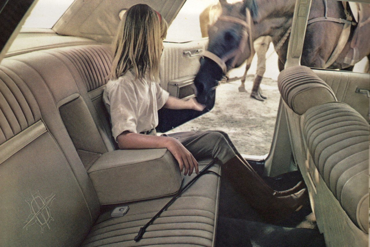 A woman sitting inside a car, reaching out to a horse standing outside the car. The horse is leaning in through the open window.