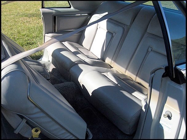The backseat of a vintage car with gray upholstery and a large object, possibly a pole or stick, resting on the seats, with grass visible outside the car window.