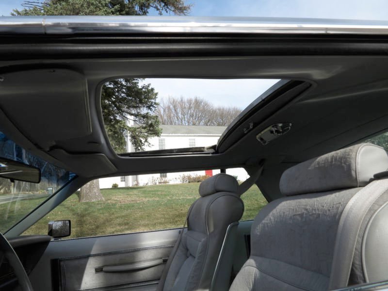Interior of a car with beige seats and a sunroof open showing a cloudy sky and trees outside.