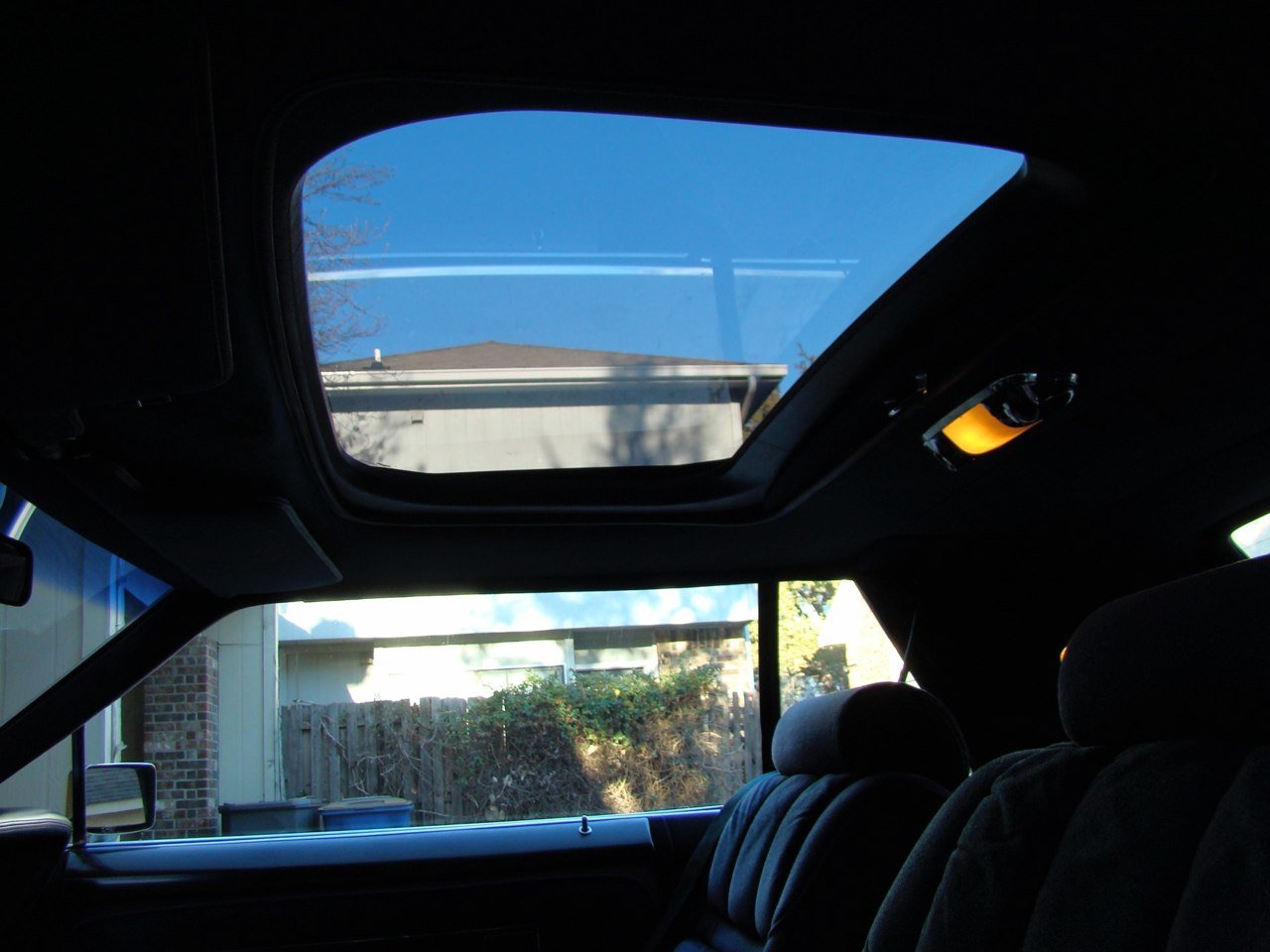 DSC02436.jpg