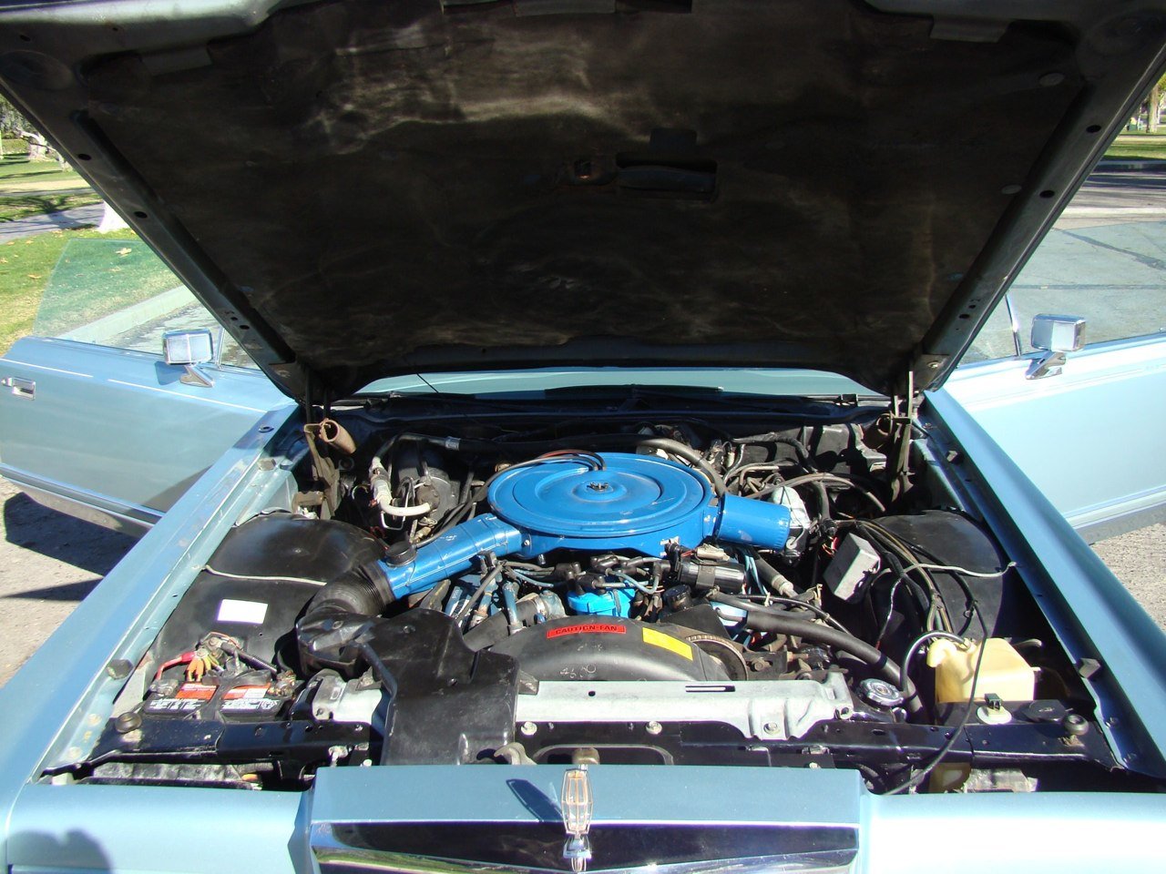 DSC08556.jpg