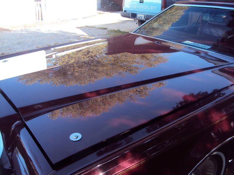 Close-up of the shiny hood of a maroon vintage car, reflecting trees and the sky, with a small round emblem near the front.