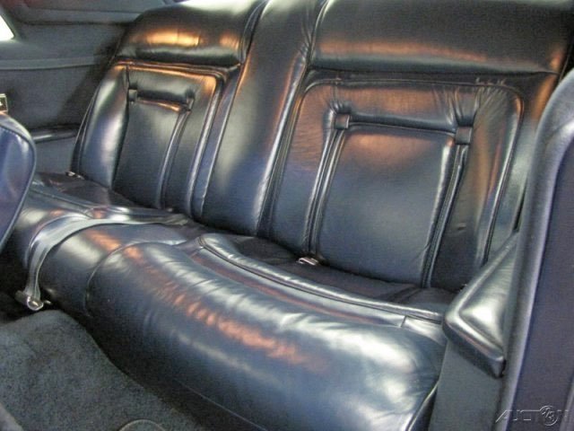 Back seat of a black leather car interior.