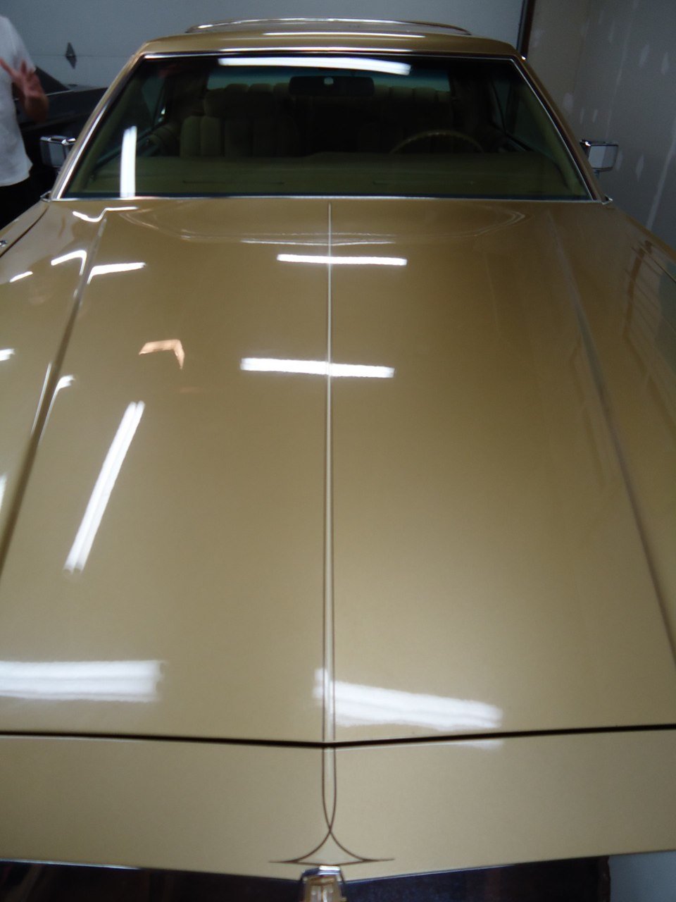 DSC00474.jpg