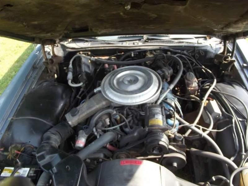 Inside view of a car engine bay showing various components, hoses, and a silver air cleaner on top.