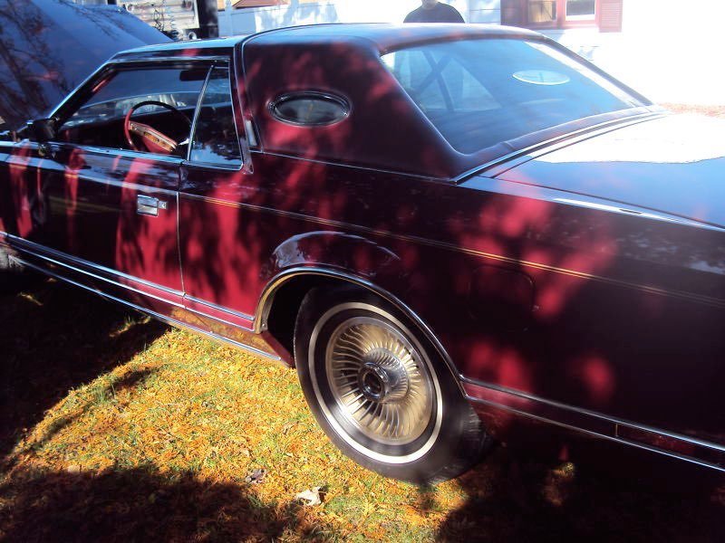 A vintage black car with a shiny finish parked on grass, partially shaded by trees, with chrome wheels and tinted windows.