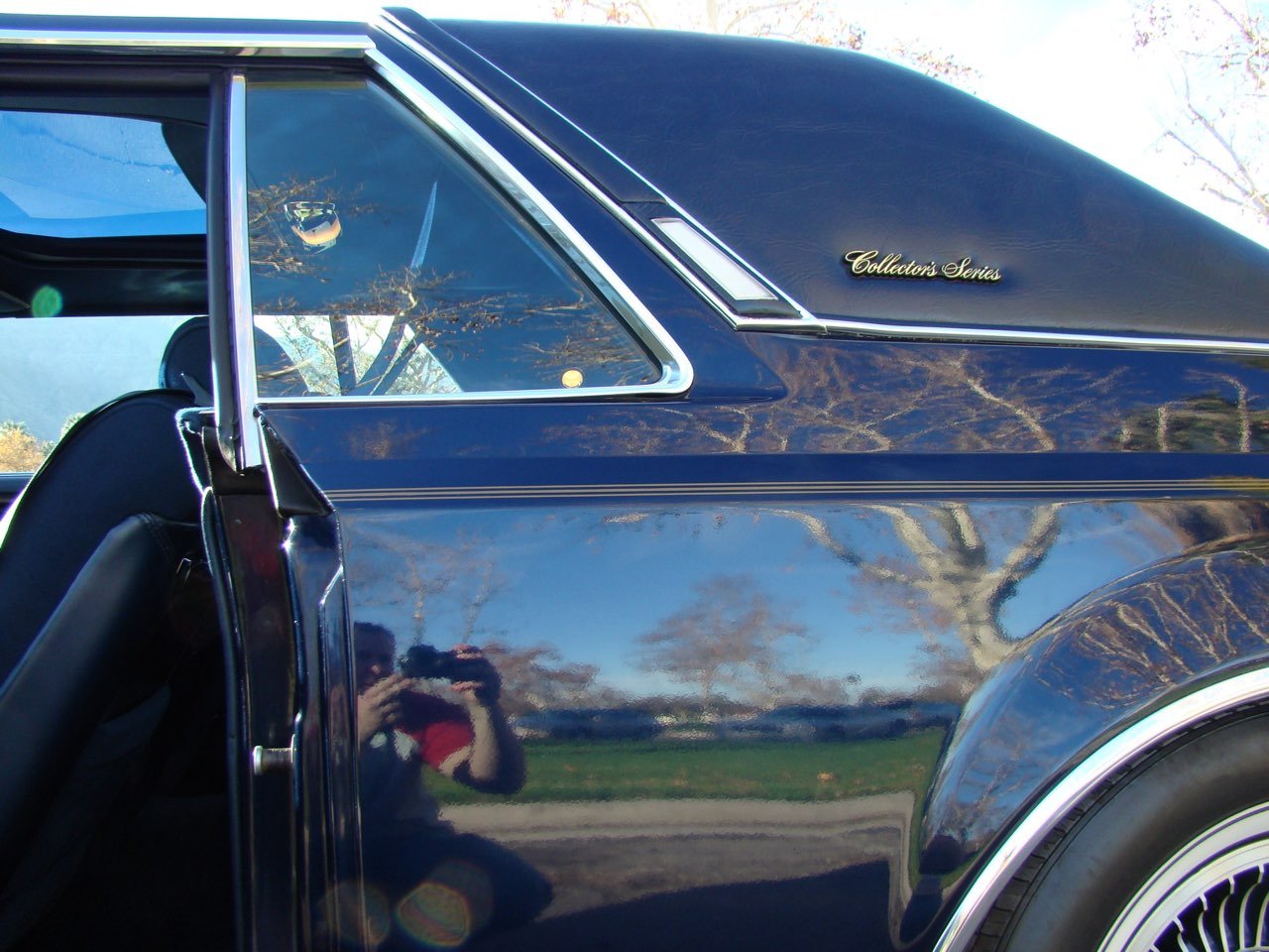 DSC08672.jpg