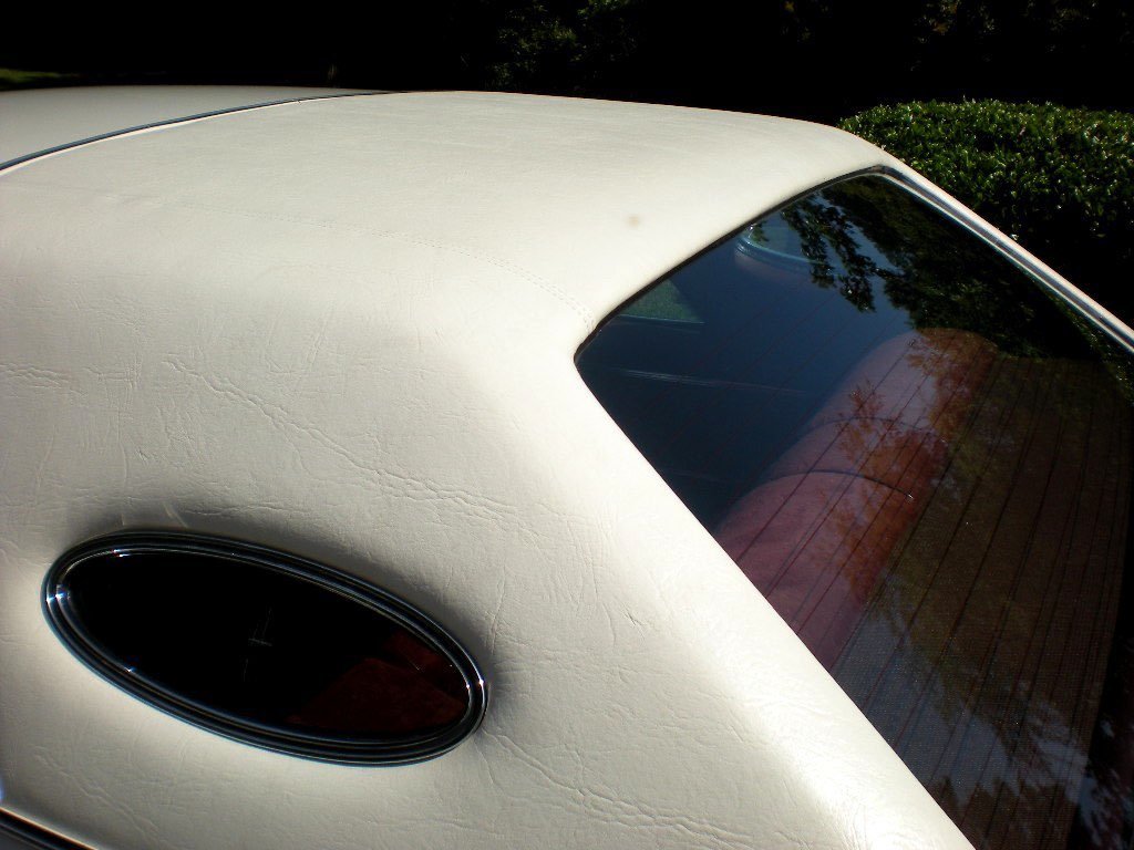 Close-up of the roof and rear window of a vintage white car with a black oval rear light and reflections of trees on the window.