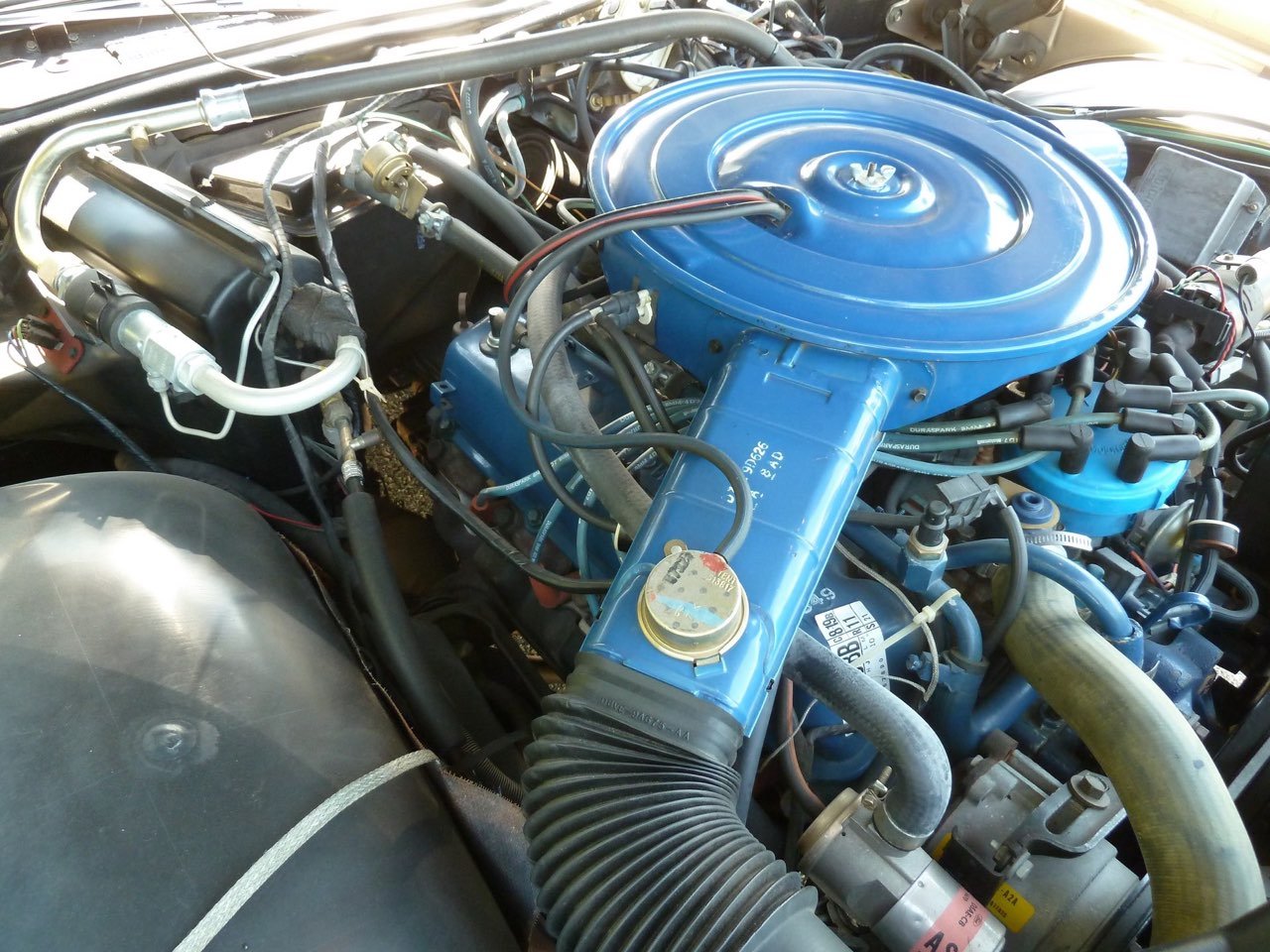 Close-up of a vintage car engine with a blue air cleaner, black hoses, and various metal components visible.