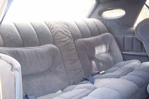 Backseat of a car with gray upholstered bench seating, seat belts, and a window showing outside light.