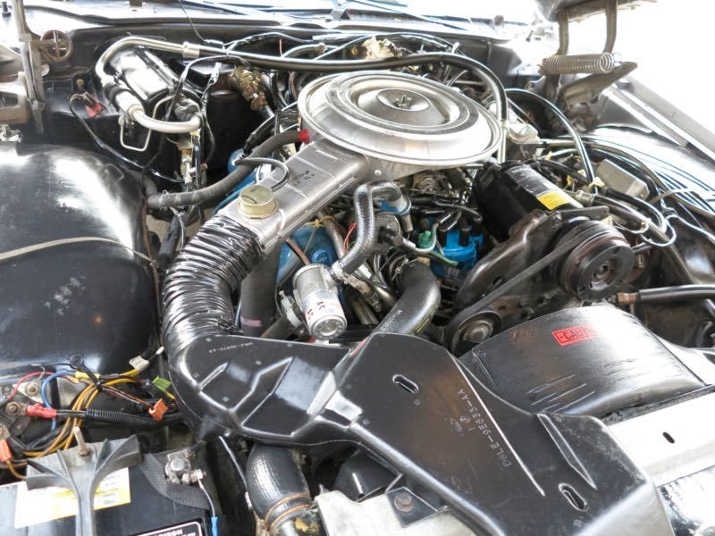Automobile engine with various hoses, wires, and mechanical components.