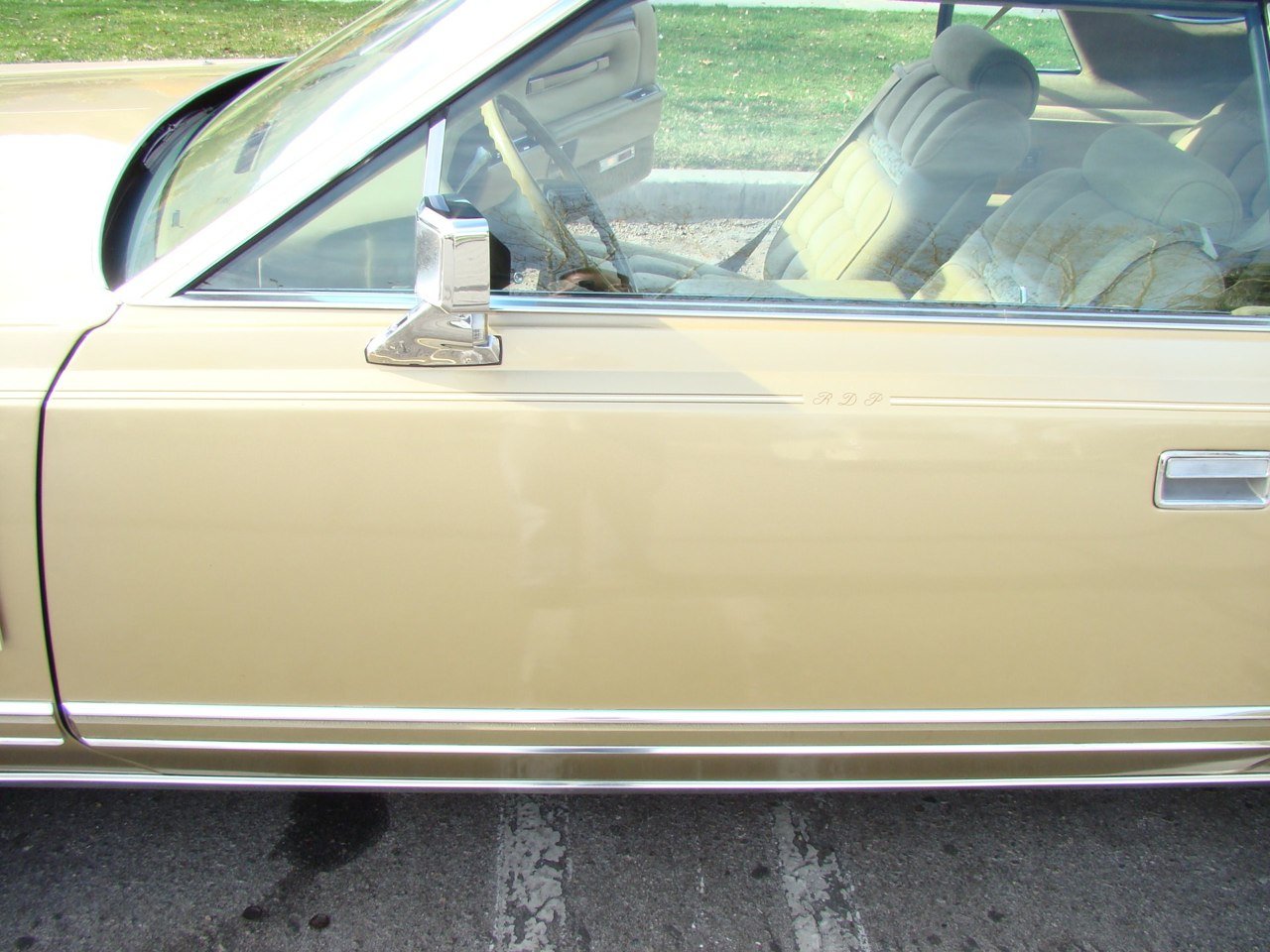 DSC08350.jpg
