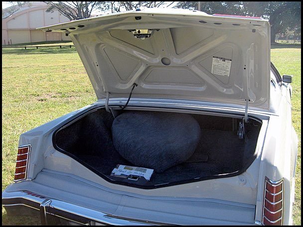 Open car trunk containing a large gray bag and some papers, with a grassy field in the background.