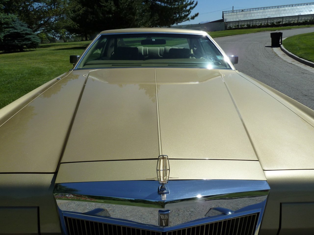 Front view of a vintage gold-colored car parked on a grassy area, with trees and a small building in the background.