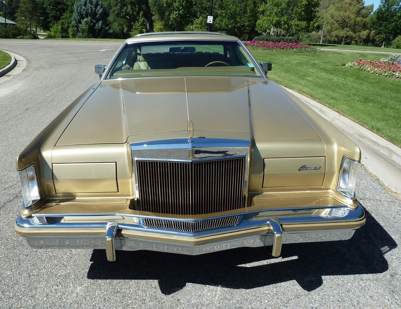 Front view of a vintage gold-colored Cadillac Eldorado parked on a road, with trees and flowers in the background.
